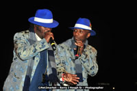 Copy of DSC_2928.jpg (70,947 bytes)